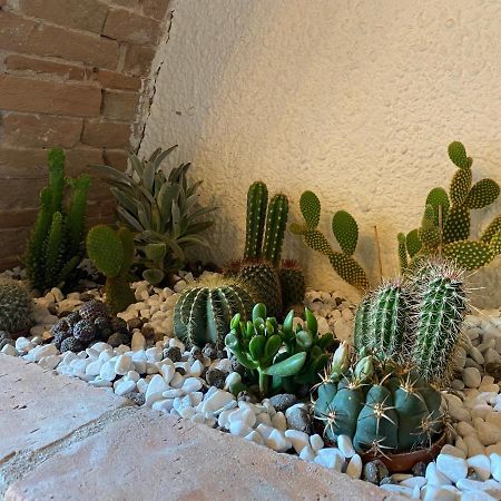 Cactus Suite ปิซา ภายนอก รูปภาพ