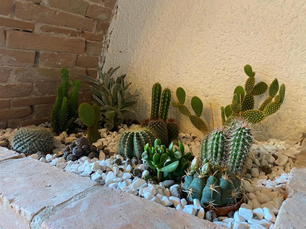 Cactus Suite ปิซา ภายนอก รูปภาพ